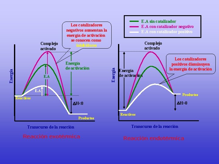 Energía de activación E. A Complejo activado Energía Complejo activado E. A sin catalizador