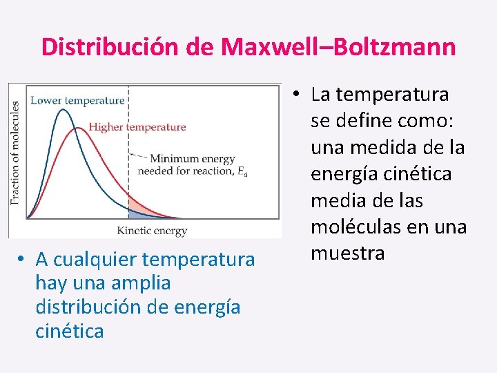 Distribución de Maxwell–Boltzmann • A cualquier temperatura hay una amplia distribución de energía cinética