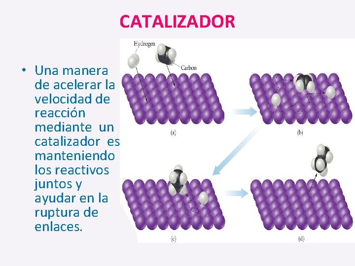 CATALIZADOR • Una manera de acelerar la velocidad de reacción mediante un catalizador es
