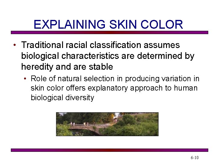 EXPLAINING SKIN COLOR • Traditional racial classification assumes biological characteristics are determined by heredity EXPLAINING SKIN COLOR • Traditional racial classification assumes biological characteristics are determined by heredity