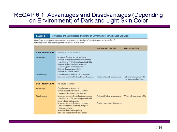 RECAP 6. 1: Advantages and Disadvantages (Depending on Environment) of Dark and Light Skin