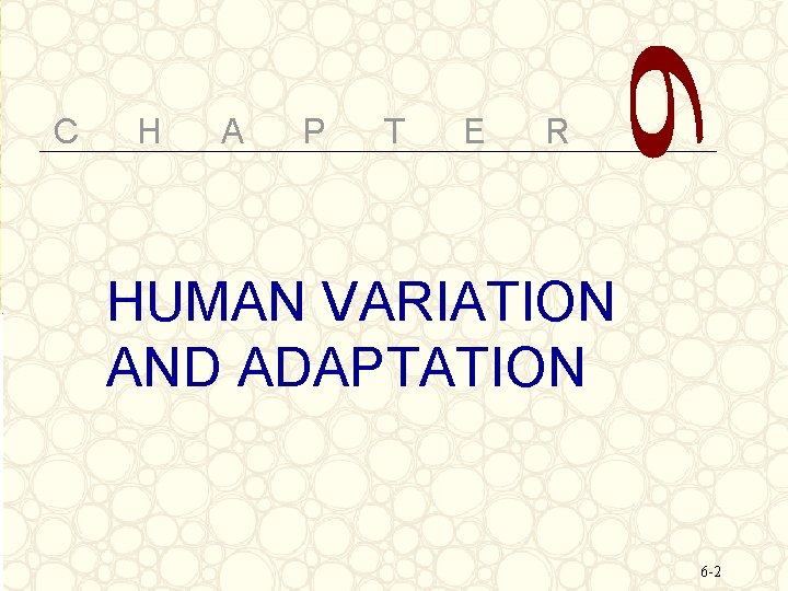 C H A P T E R HUMAN VARIATION AND ADAPTATION 6 -2 
