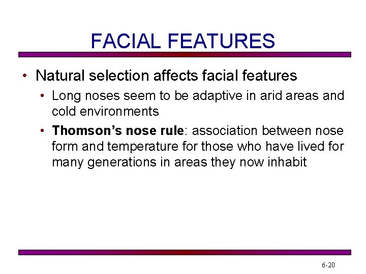 FACIAL FEATURES • Natural selection affects facial features • Long noses seem to be