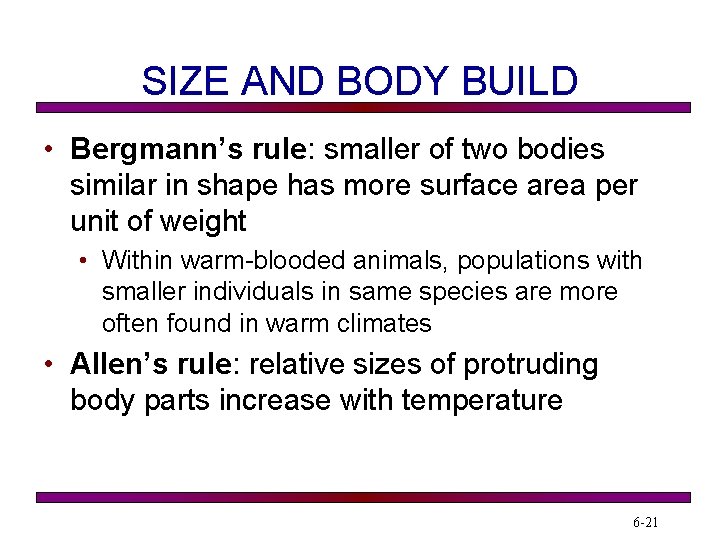 SIZE AND BODY BUILD • Bergmann’s rule: smaller of two bodies similar in shape SIZE AND BODY BUILD • Bergmann’s rule: smaller of two bodies similar in shape
