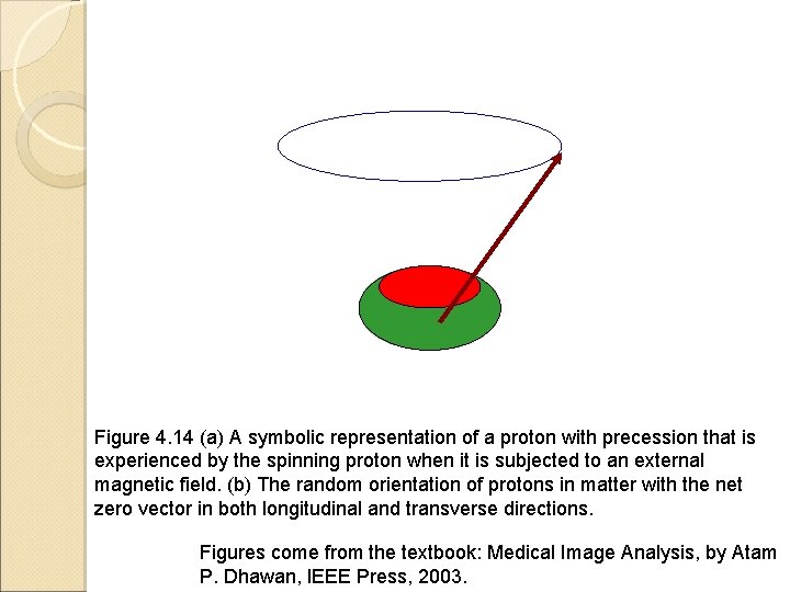 Figure 4. 14 (a) A symbolic representation of a proton with precession that is Figure 4. 14 (a) A symbolic representation of a proton with precession that is