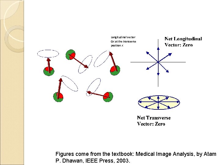 Longitudinal Vector OX at the transverse position X Figures come from the textbook: Medical