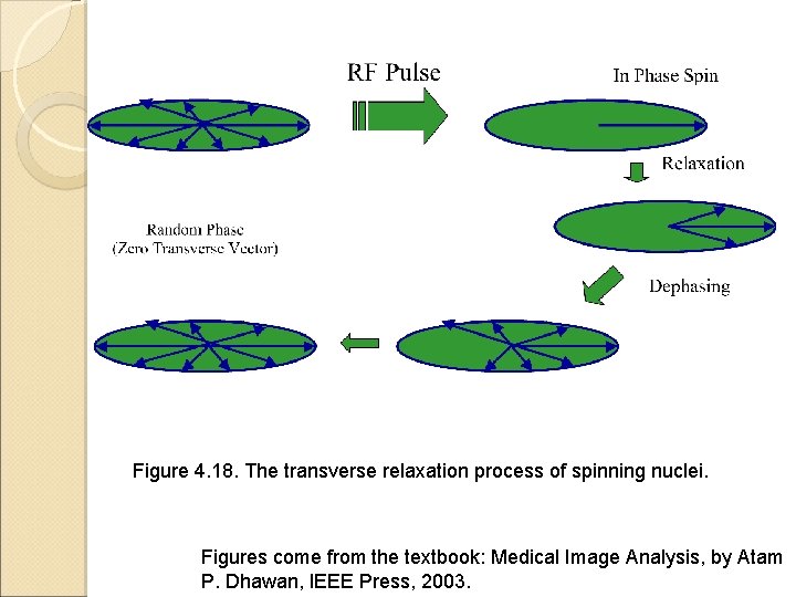 Figure 4. 18. The transverse relaxation process of spinning nuclei. Figures come from the