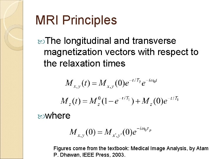 MRI Principles The longitudinal and transverse magnetization vectors with respect to the relaxation times