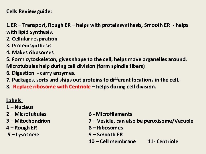 Cells Review guide: 1. ER – Transport, Rough ER – helps with proteinsynthesis, Smooth Cells Review guide: 1. ER – Transport, Rough ER – helps with proteinsynthesis, Smooth