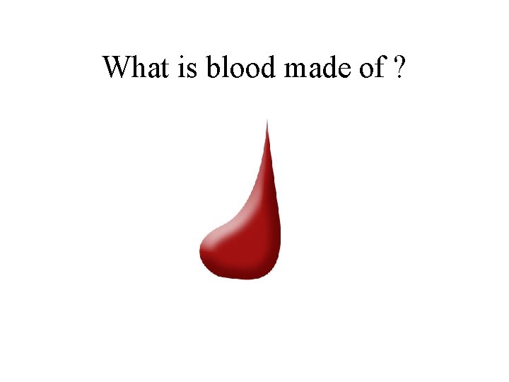 What is blood made of ? 