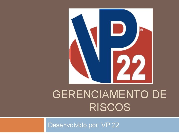 GERENCIAMENTO DE RISCOS Desenvolvido por: VP 22 