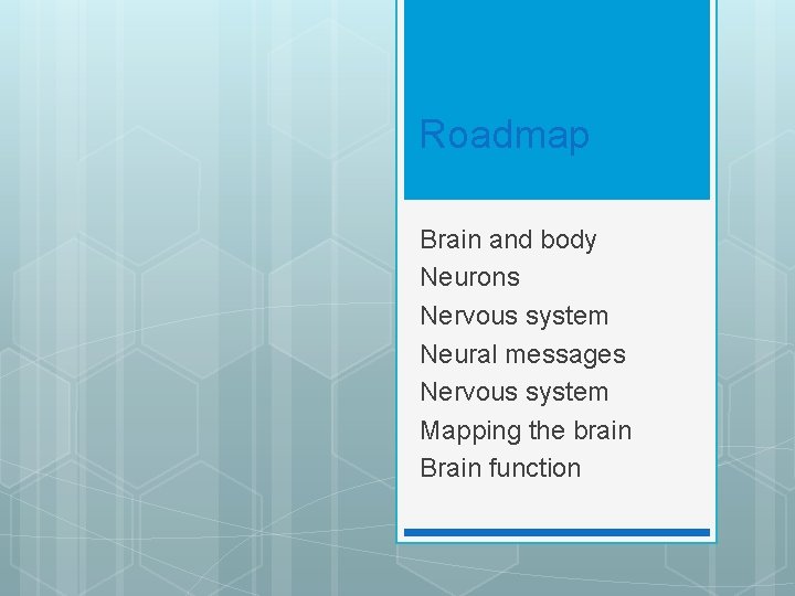 Roadmap Brain and body Neurons Nervous system Neural messages Nervous system Mapping the brain