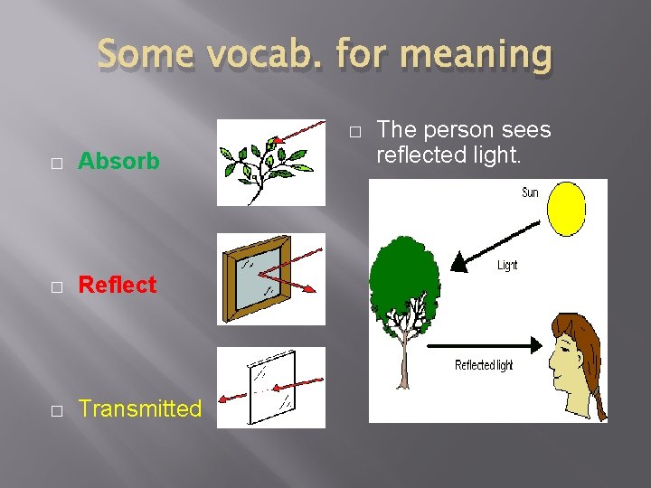 Some vocab. for meaning � � Absorb � Reflect � Transmitted The person sees