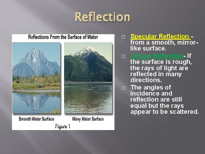 Reflection � � � http: //micro. magnet. fsu. edu/primer/lightandcolor/reflectionintro. html Specular Reflection from a
