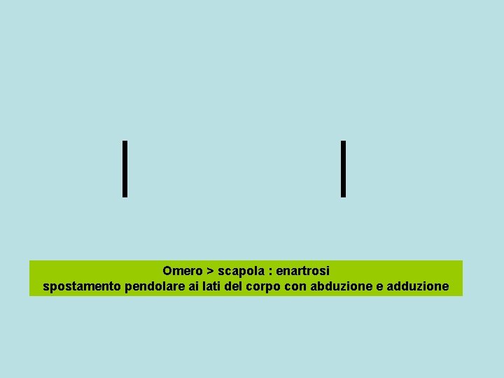 Omero > scapola : enartrosi spostamento pendolare ai lati del corpo con abduzione e