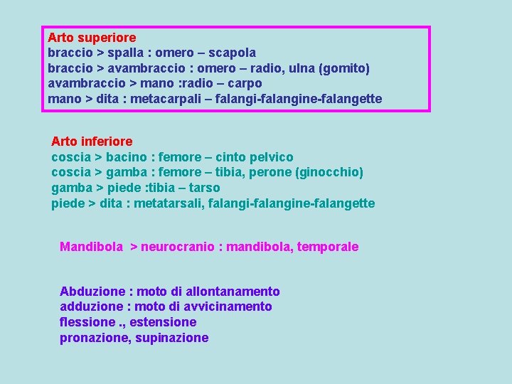 Arto superiore braccio > spalla : omero – scapola braccio > avambraccio : omero