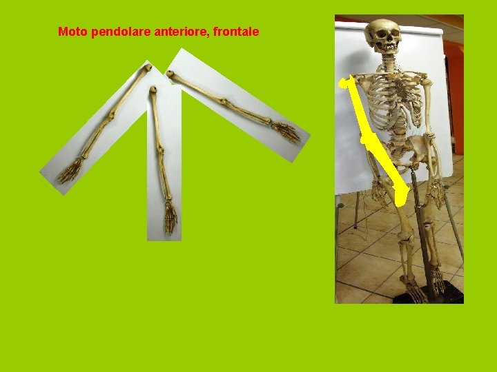 Moto pendolare anteriore, frontale 