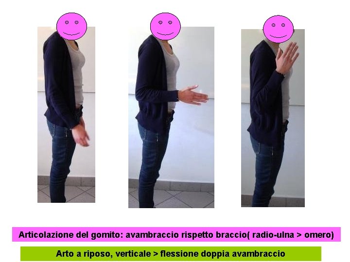 Articolazione del gomito: avambraccio rispetto braccio( radio-ulna > omero) Arto a riposo, verticale >