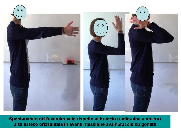 Spostamento dell’avambraccio rispetto al braccio (radio-ulna > omero) arto esteso orizzontale in avanti, flessione