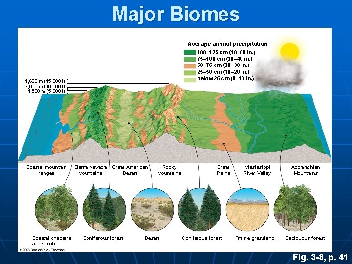 Major Biomes Average annual precipitation 100– 125 cm (40– 50 in. ) 75– 100