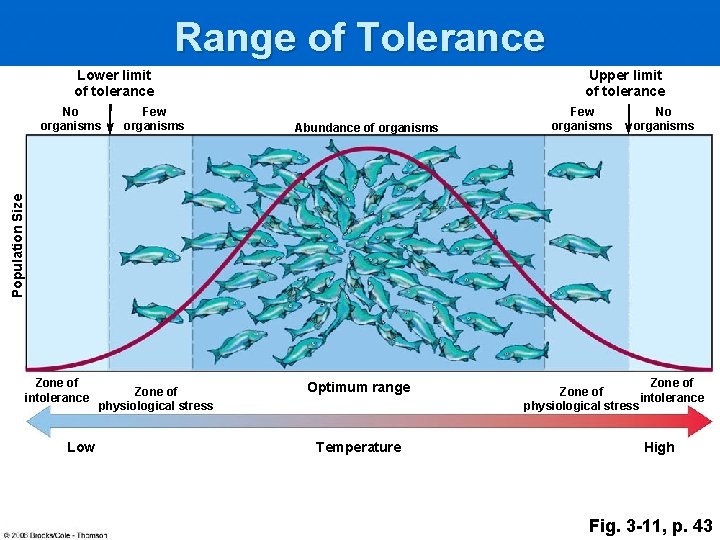 Range of Tolerance Lower limit of tolerance Few organisms Abundance of organisms Few organisms