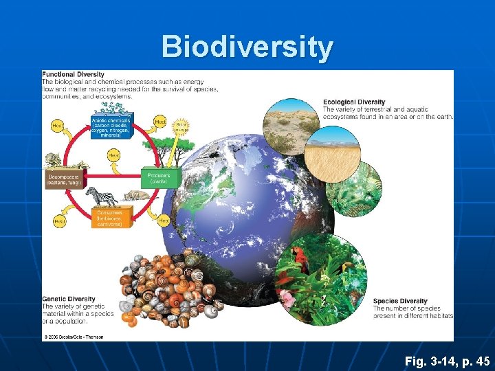 Biodiversity Fig. 3 -14, p. 45 