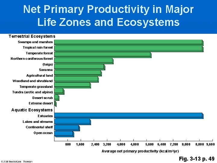 Net Primary Productivity in Major Life Zones and Ecosystems Terrestrial Ecosystems Swamps and marshes