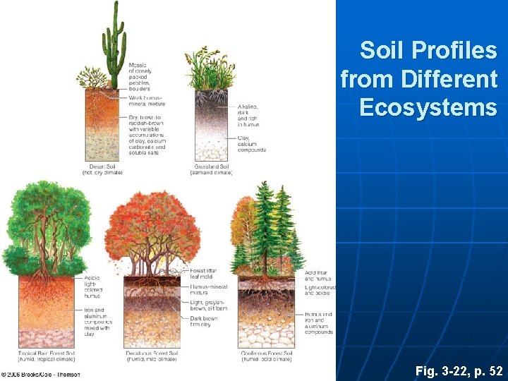 Soil Profiles from Different Ecosystems Fig. 3 -22, p. 52 