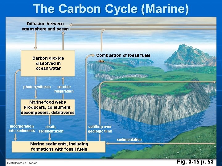 The Carbon Cycle (Marine) Diffusion between atmosphere and ocean Carbon dioxide dissolved in ocean