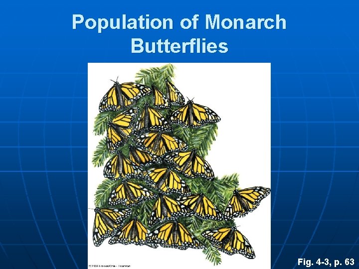 Population of Monarch Butterflies Fig. 4 -3, p. 63 