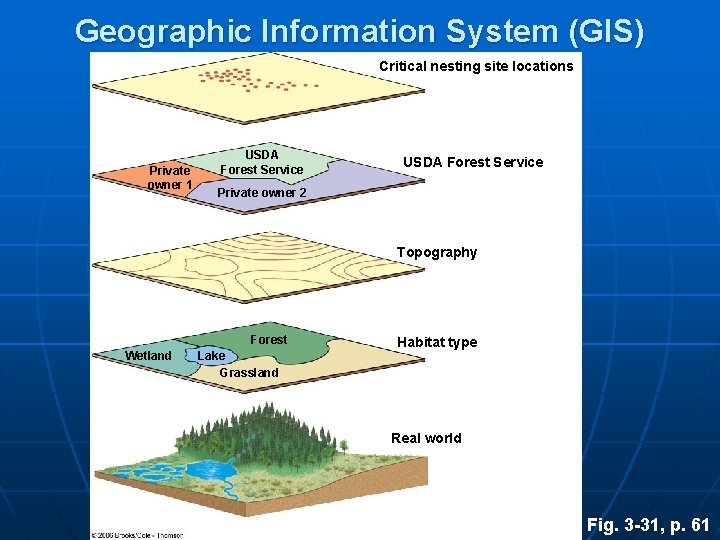 Geographic Information System (GIS) Critical nesting site locations Private owner 1 USDA Forest Service