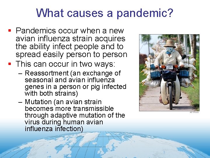 What causes a pandemic? § Pandemics occur when a new avian influenza strain acquires