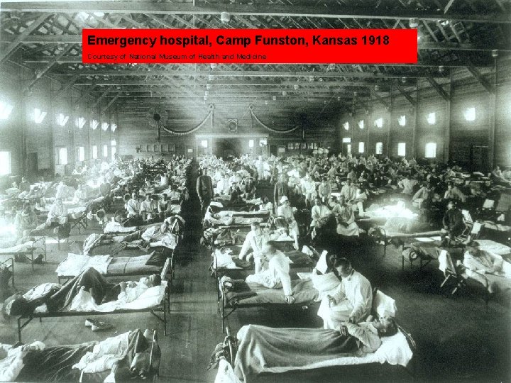 Emergency hospital, Camp Funston, Kansas 1918 Courtesy of National Museum of Health and Medicine