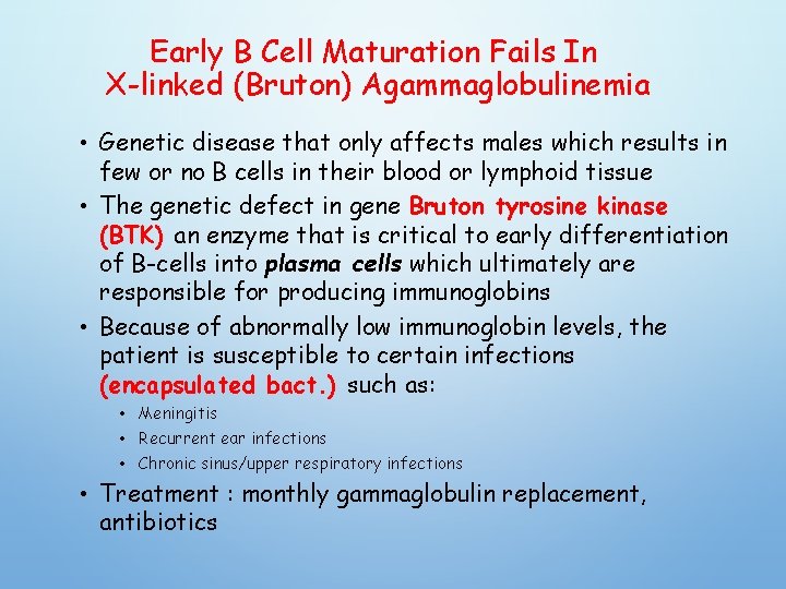 Early B Cell Maturation Fails In X-linked (Bruton) Agammaglobulinemia • Genetic disease that only