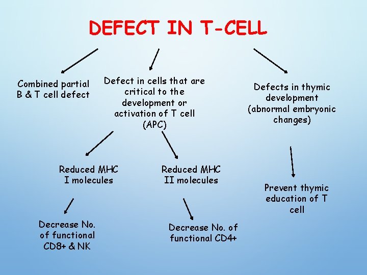 DEFECT IN T-CELL Combined partial B & T cell defect Defect in cells that