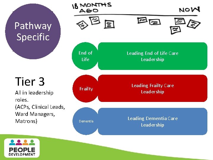 Pathway Specific Tier 3 All in leadership roles. (ACPs, Clinical Leads, Ward Managers, Matrons) Pathway Specific Tier 3 All in leadership roles. (ACPs, Clinical Leads, Ward Managers, Matrons)