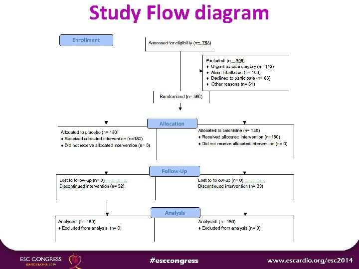 Study Flow diagram 