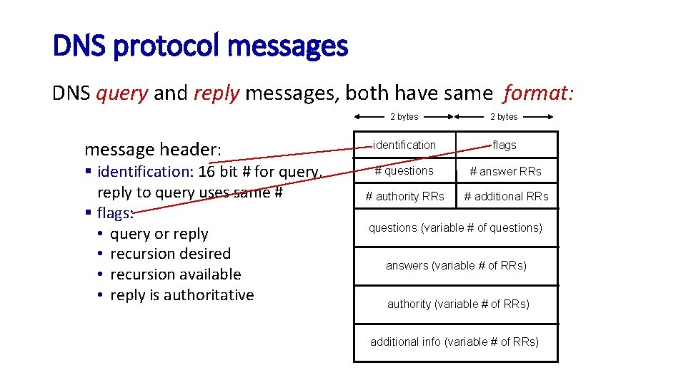 DNS protocol messages DNS query and reply messages, both have same format: message header: