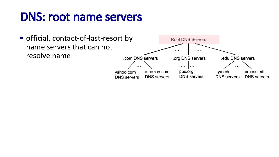 DNS: root name servers § official, contact-of-last-resort by name servers that can not resolve