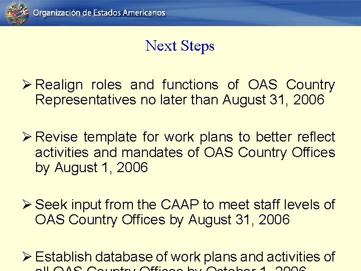 Next Steps Ø Realign roles and functions of OAS Country Representatives no later than