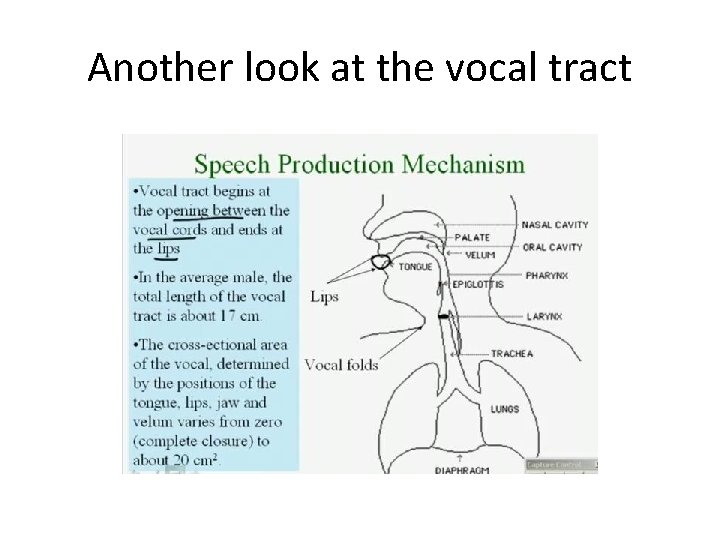Another look at the vocal tract 