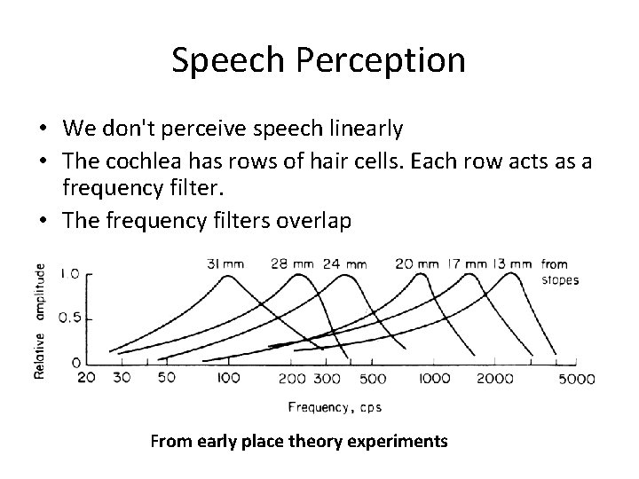 Speech Perception • We don't perceive speech linearly • The cochlea has rows of