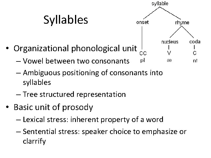 Syllables • Organizational phonological unit – Vowel between two consonants – Ambiguous positioning of