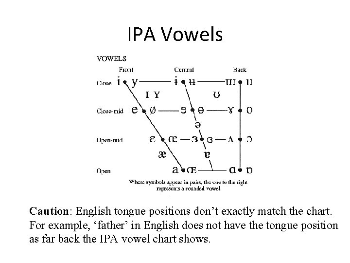 IPA Vowels Caution: English tongue positions don’t exactly match the chart. For example, ‘father’