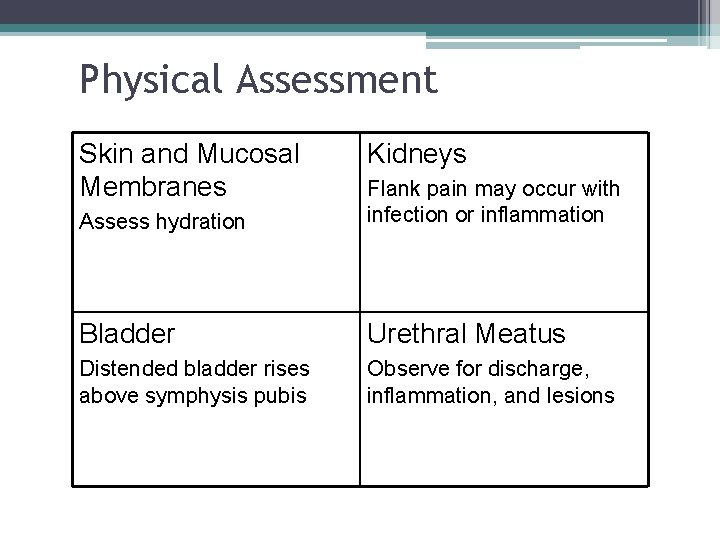 Physical Assessment Skin and Mucosal Membranes Kidneys Assess hydration Flank pain may occur with