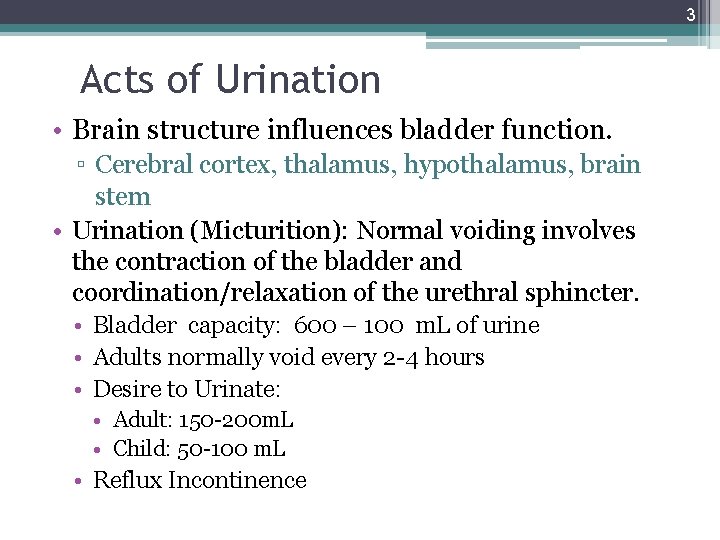 3 Acts of Urination • Brain structure influences bladder function. ▫ Cerebral cortex, thalamus,