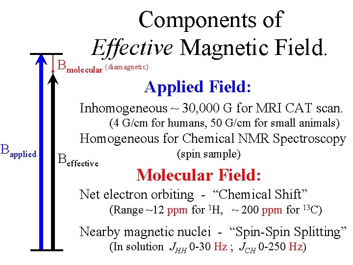Components of Effective Magnetic Field. Bmolecular (diamagnetic) Applied Field: Inhomogeneous ~ 30, 000 G