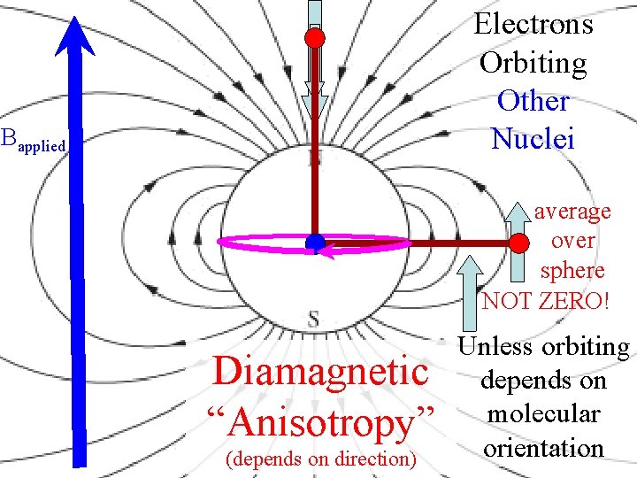 Electrons Orbiting Other Nuclei Bapplied average over sphere NOT ZERO! Diamagnetic “Anisotropy” (depends on