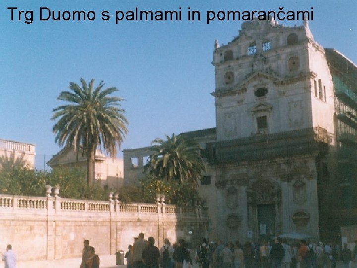 Trg Duomo s palmami in pomarančami 