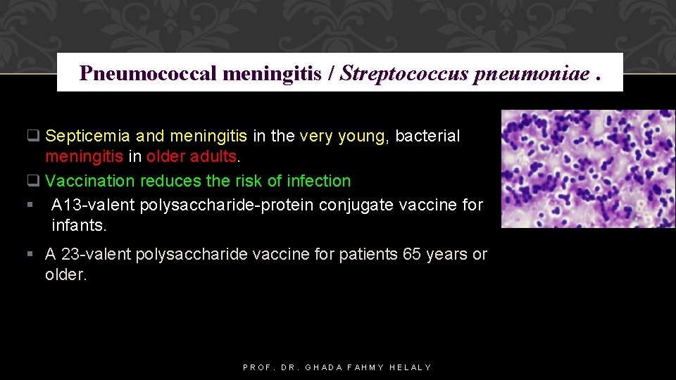 Pneumococcal meningitis / Streptococcus pneumoniae. q Septicemia and meningitis in the very young, bacterial